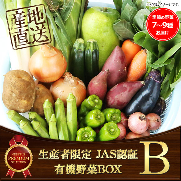 生産者限定 JAS認証有機野菜BOX Bセット