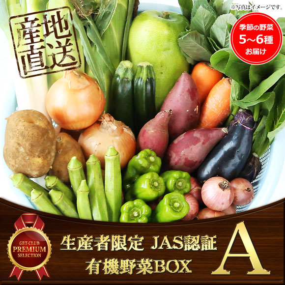 生産者限定 JAS認証有機野菜BOX Aセット}