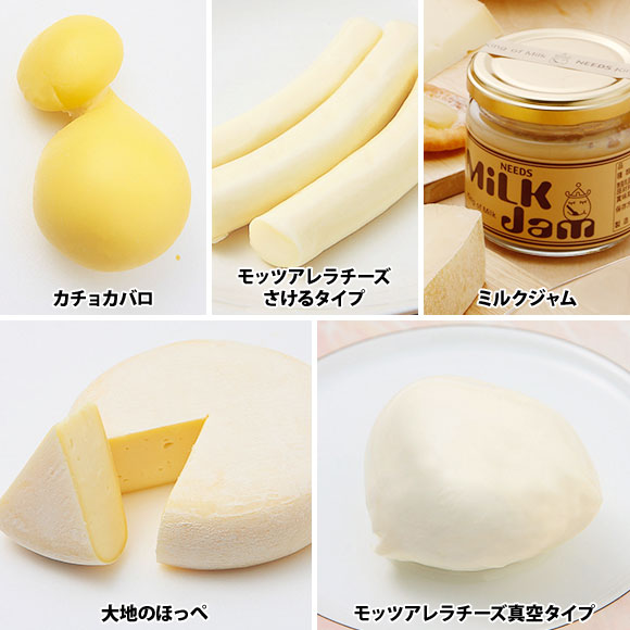 北海道十勝産 ナチュラルチーズ5種セット【PDF】