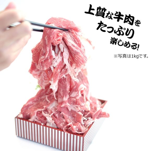 九州産 黒毛和牛切落し2.5kg 【PDF】