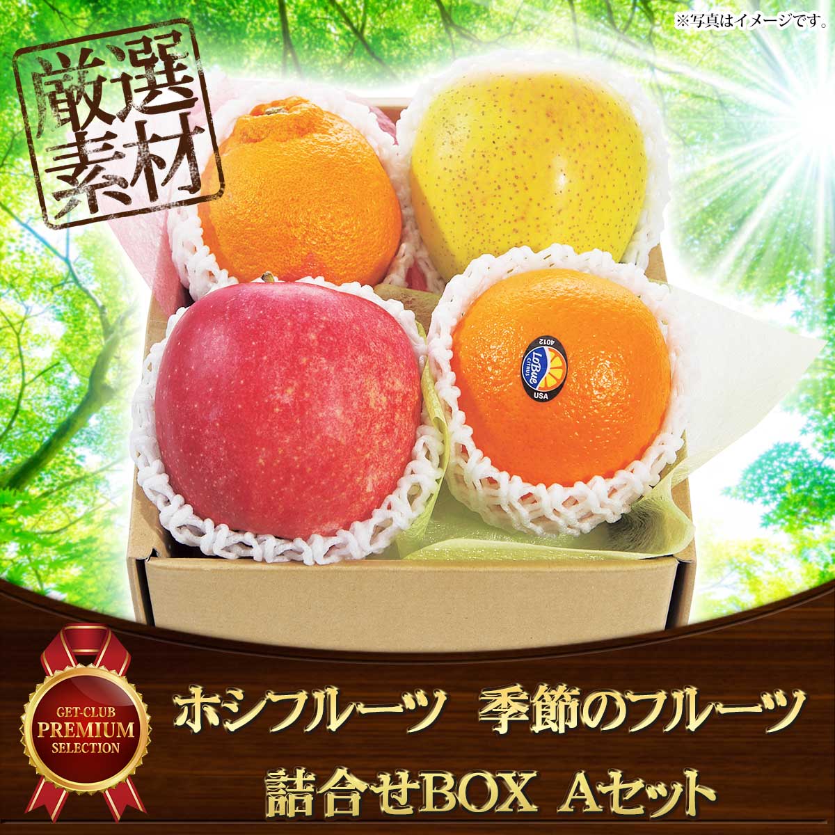 ホシフルーツ おまかせ旬のフルーツBOX Aセット