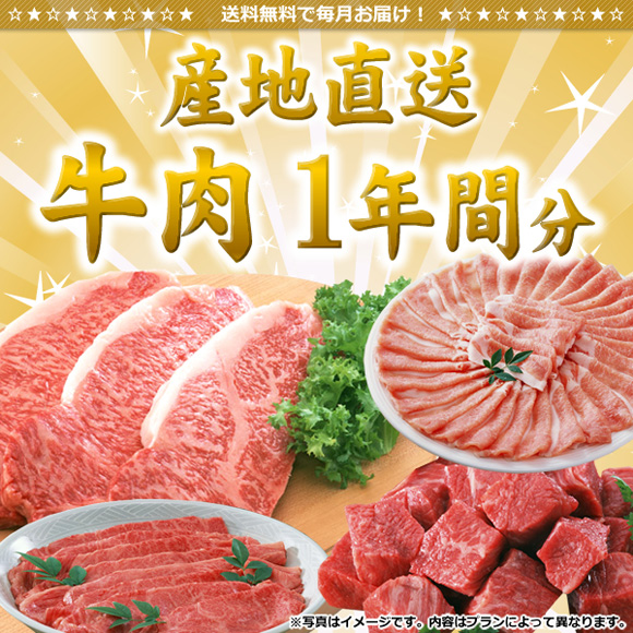 牛肉産地直送1年間分