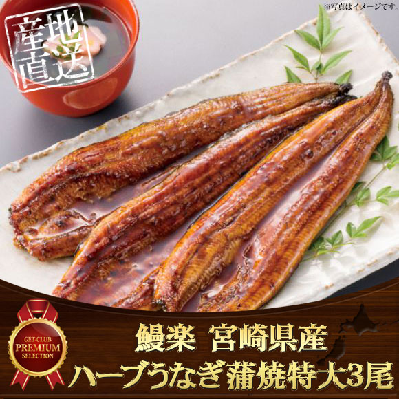 鰻楽 宮崎県産ハーブうなぎ蒲焼特大3尾