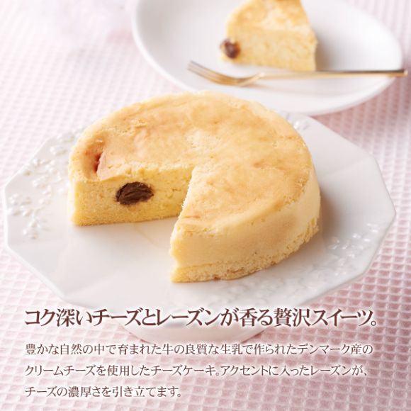 ホシフルーツ 大人のチーズケーキ【PDF】
